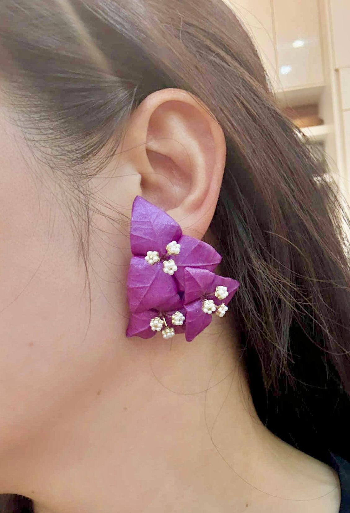 Bougainvillea Stud